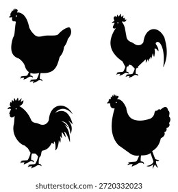 Rooster and Hen vector icon. Vector illustration of rooster, hen. Silhouette of hen, cock,  poultry, chicken bird. Vector illustration.