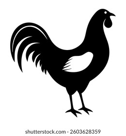 Rooster Hen vector illustration Silhouette isolated on white background 