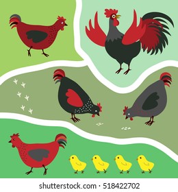 Rooster, hens and chickens. Vector illustration.