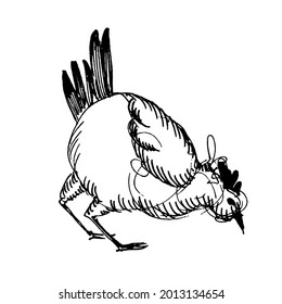 Rooster and hens in farmland illustration. Vector.