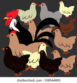 Rooster and hens isolated on black background. Vector illustration