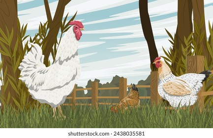 Rooster and hens are walking in a poultry yard with a wooden fence. Farm bird. Agricultural vector realistic landscape svg