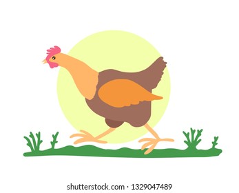 The rooster is in a hurry, walking fast across the field. Vector isolated character on white background.