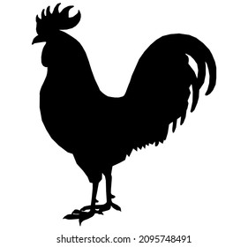 Rooster icon, cock black silhouette isolated on white background. Vector stock illustration