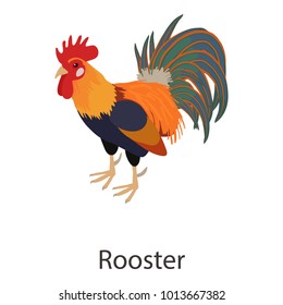 Rooster icon. Isometric illustration of rooster vector icon for web