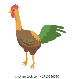 Rooster icon. Isometric of rooster vector icon for web design isolated on white background