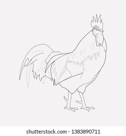 Rooster icon line element. Vector illustration of rooster icon line isolated on clean background for your web mobile app logo design.