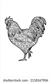 Rooster icon - vector illustration on white