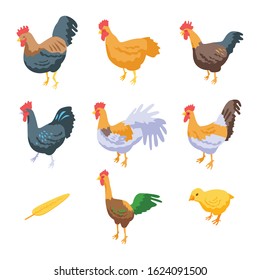 Rooster icons set. Isometric set of rooster vector icons for web design isolated on white background