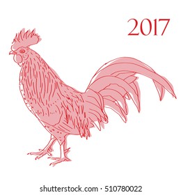 Rooster illustration