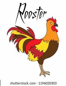 Rooster Illustration Design