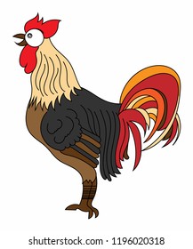 Rooster Illustration Design