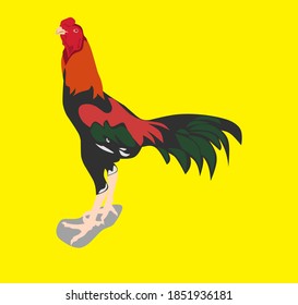 Rooster illustration image (vector image)