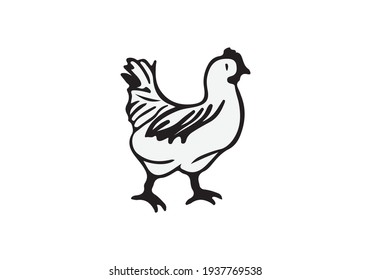 rooster illustration isolated on white background