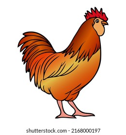 rooster illustration,isolated on white background,top view