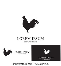 Rooster isolated logo icon vector illustration template design