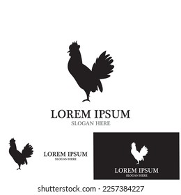 Rooster isolated logo icon vector illustration template design