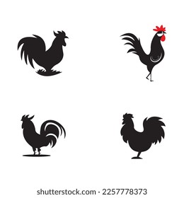 Rooster isolated logo icon vector illustration template design