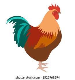 Rooster isolated on white background, vector illustration of rooster in profile