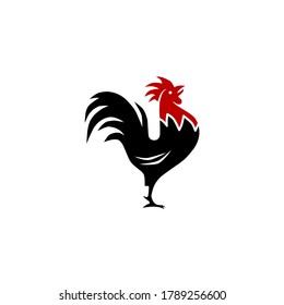 rooster isolated on white background