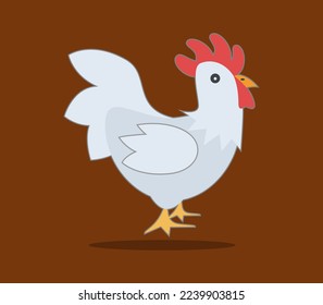 rooster isolated on white background