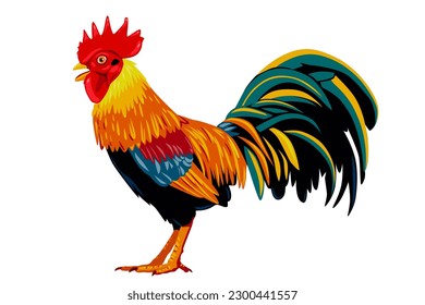 rooster isolated on white background. vector illustration