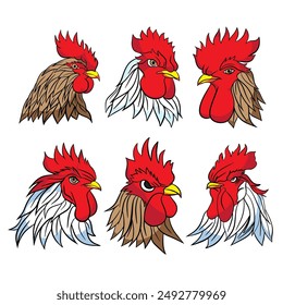 A rooster, also known as a cockerel or cock, is a male chicken (Gallus gallus domesticus) that is distinguished by its bright plumage, pronounced comb and wattles, and its crowing behavior.
