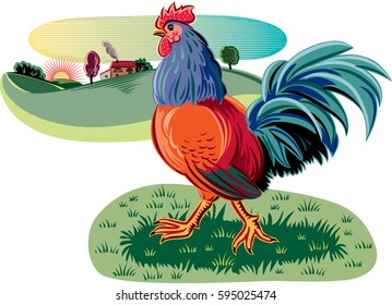 Rooster in a landscape with grass