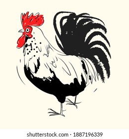 Rooster line hand drawn vector illustration. Rough,black and white, line art chicken character.