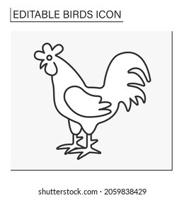  Rooster line icon. Domestic fowl with colorful feathers and strong voice. Adult male chicken. Birds concept. Isolated vector illustration. Editable stroke
