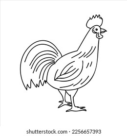 Rooster linear had drawn doodle, bird farm animal icon collection