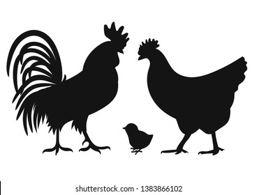 Сhicken, Rooster and little baby chicken. Set of Black Silhouettes poultry on white. Vector illustration.