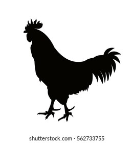 Rooster logo