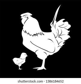 rooster logo of chicken vector with fowl silhouette and background of farm mascot