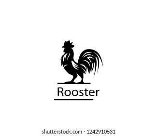 Rooster logo design illustration 