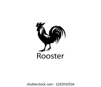 Rooster logo design illustration 