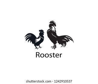 Rooster logo design illustration 