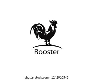 Rooster logo design illustration 