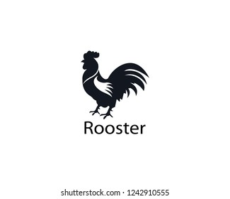 Rooster logo design illustration 