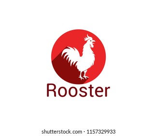 Rooster logo design vector illustration