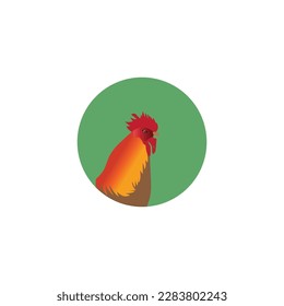 ilustración vectorial de la plantilla de logotipo de rooster