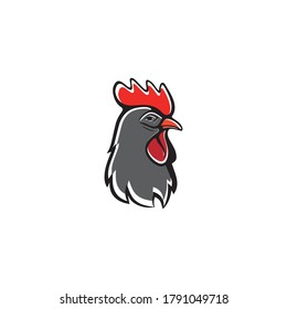 Rooster Logo Template vector icon illustration design