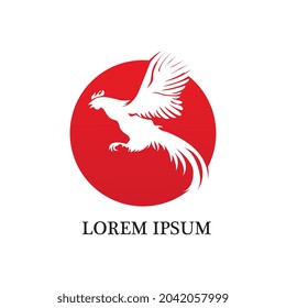 Rooster Logo Template vector icon illustration design