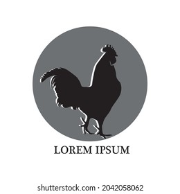 Rooster Logo Template vector icon illustration design