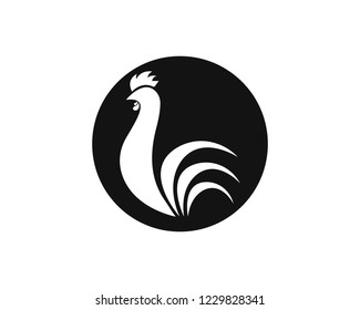 Rooster Logo Template vector illustration