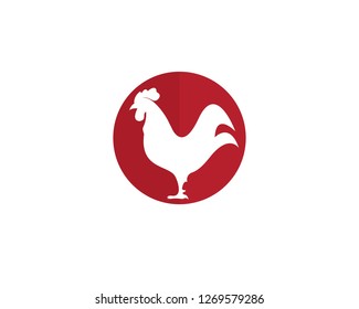 Rooster Logo Template vector illustration design
