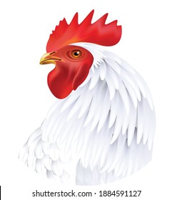 Logotipo de gallo: se puede usar este vector como un logotipo para aves domésticas, como pollos, pavos, patos y productos gansos