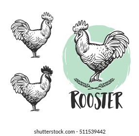 Rooster logotypes set. Rooster logo. Hen meat and eggs. Rooster vintage produce elements. Badges and design elements depicting Cock. Rooster Vector illustration