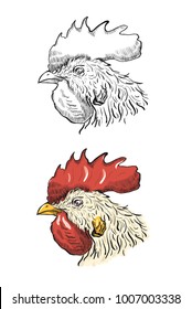 Rooster on a white background