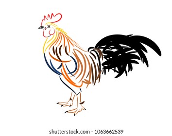 Rooster on white background.